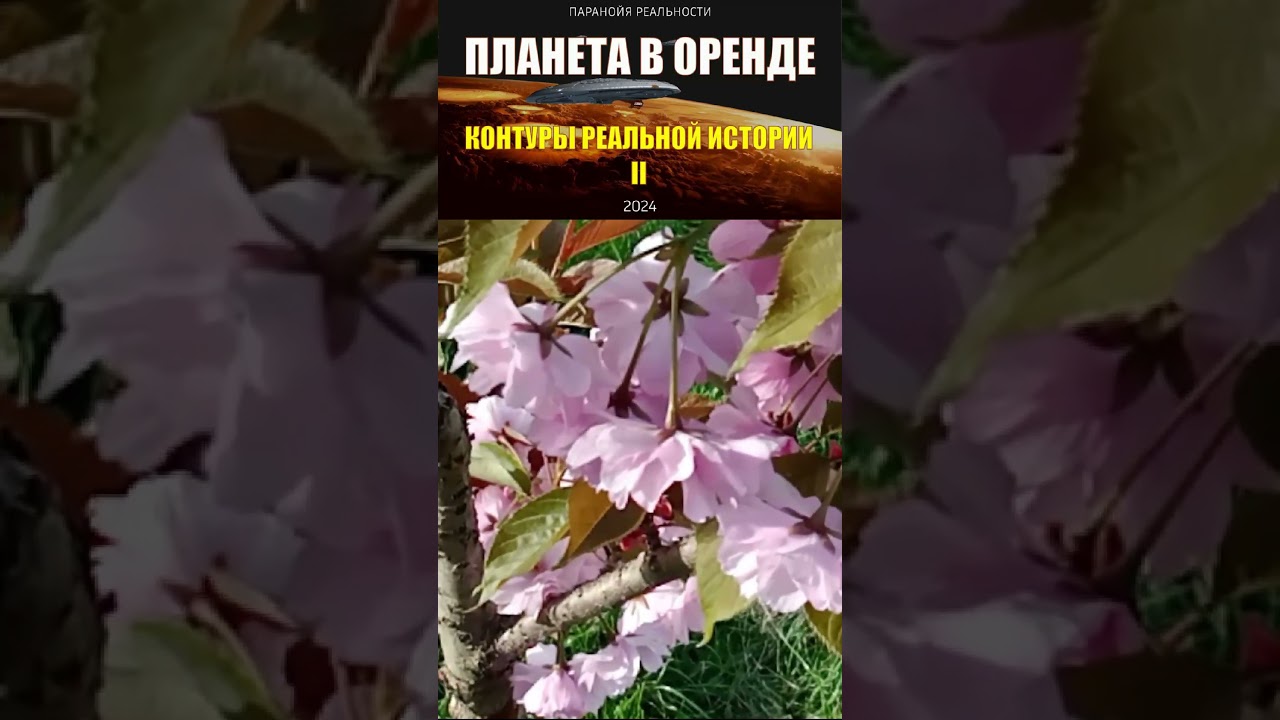 Вопрос Прометея