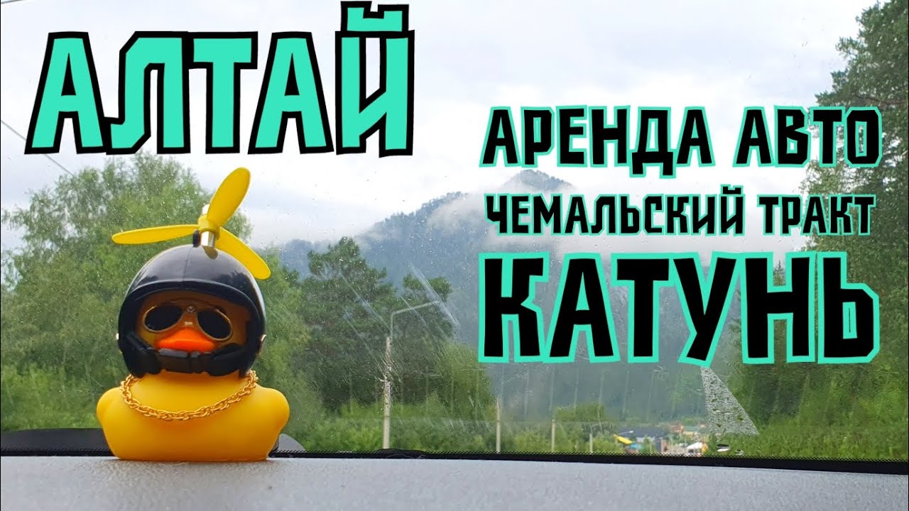 АЛТАЙ: аренда авто, дорога от Барнаула к горам, Бийск, Чемальский тракт, катунь