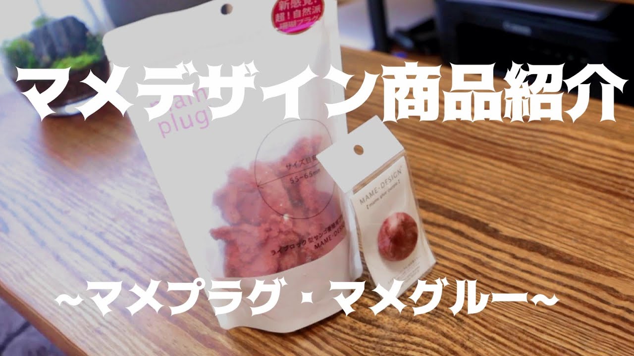 マメデザイン商品紹介！