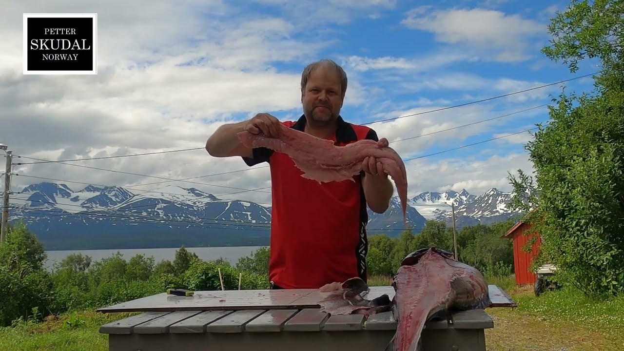 Coalfish Filleting/ Sei filitering