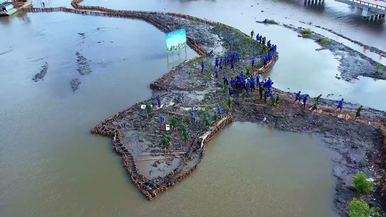 Của biển Sông Đốc - Cà Mau