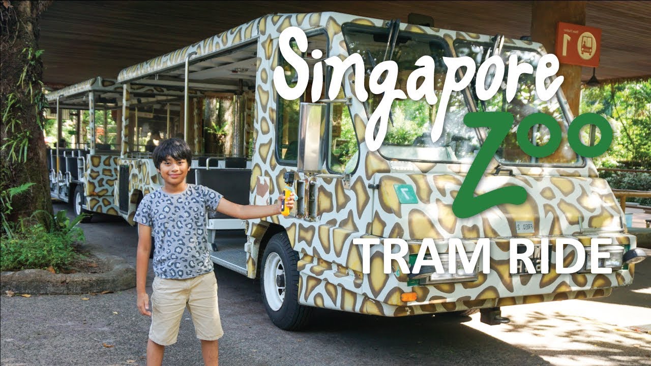 Singapore Zoo Tram Ride Full Tour Review Station 1 to Station 4 by Raees Rafael