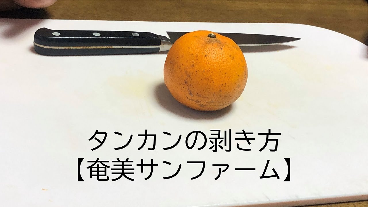 タンカンの剥き方【奄美サンファーム】