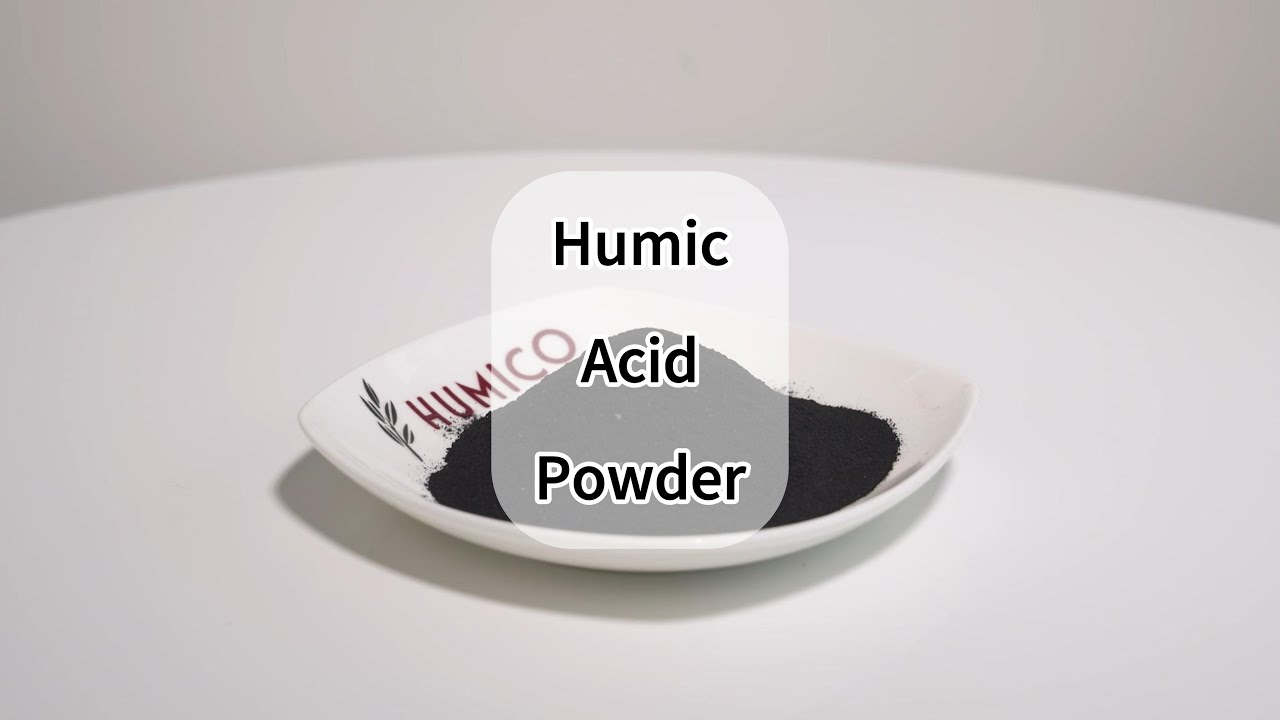 #Humico Humic Acid Powder Product Color, Appearance, Size - China Organic Fertilizer Manufacturer