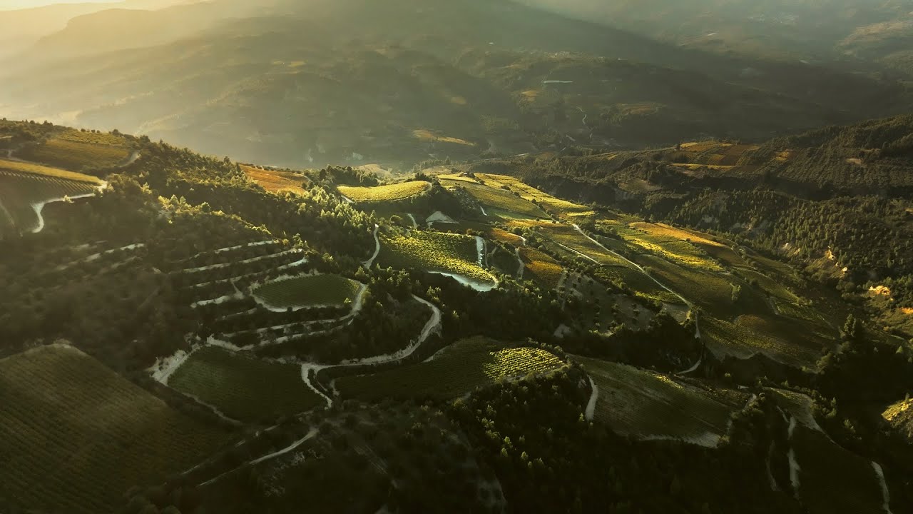 Semeli Estate | Nemea