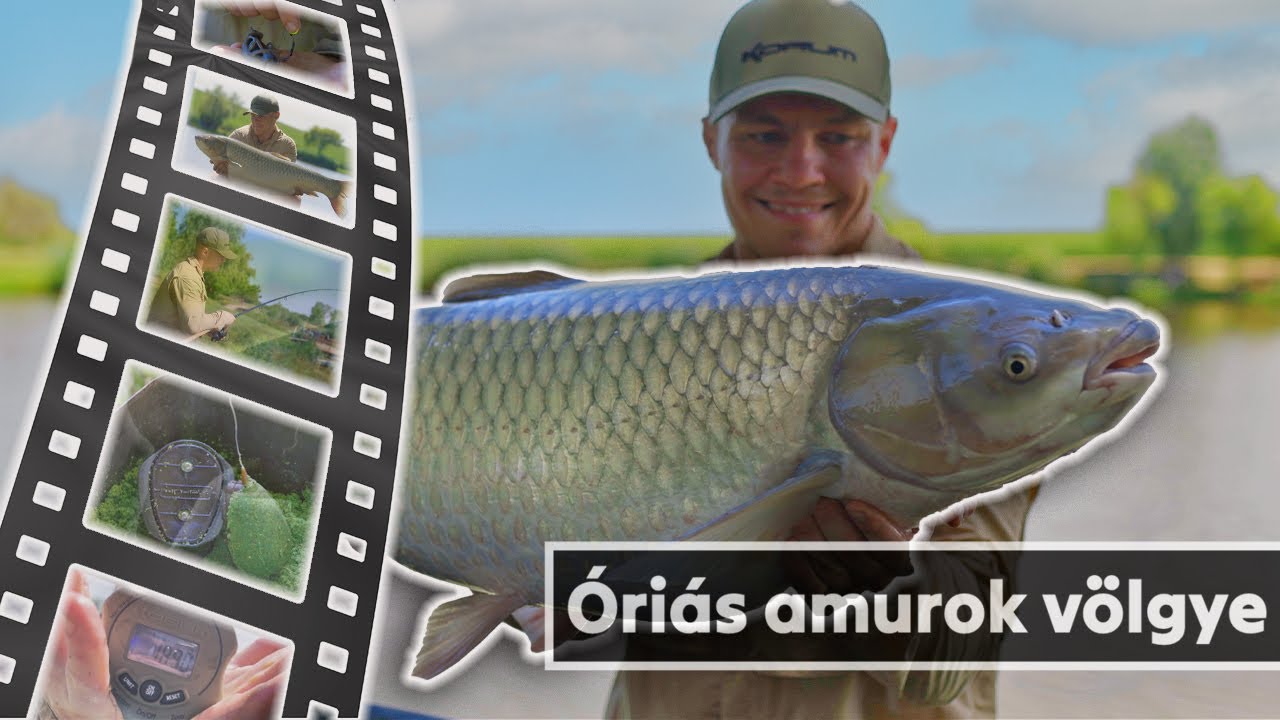 &Oacute;ri&aacute;s amurok v&ouml;lgye