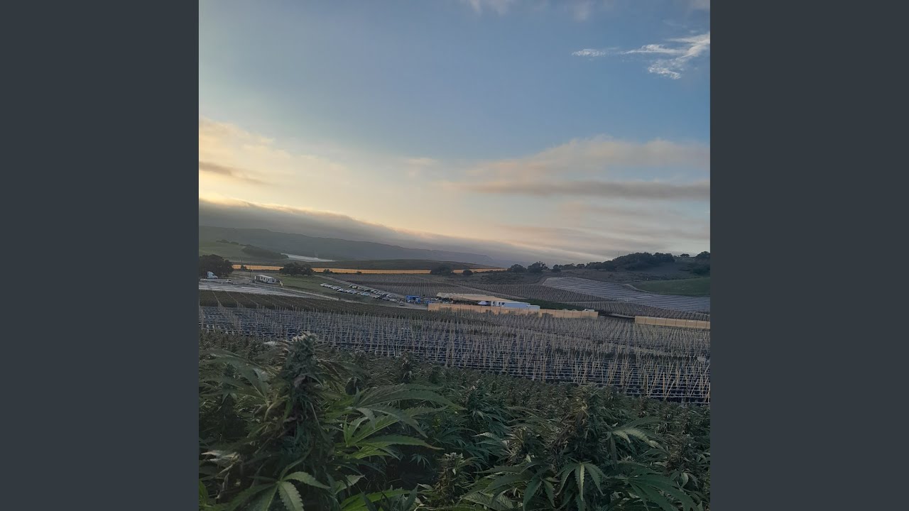 Los primos guerrerense ya ra migoi &ntilde;un guadalupe la joya