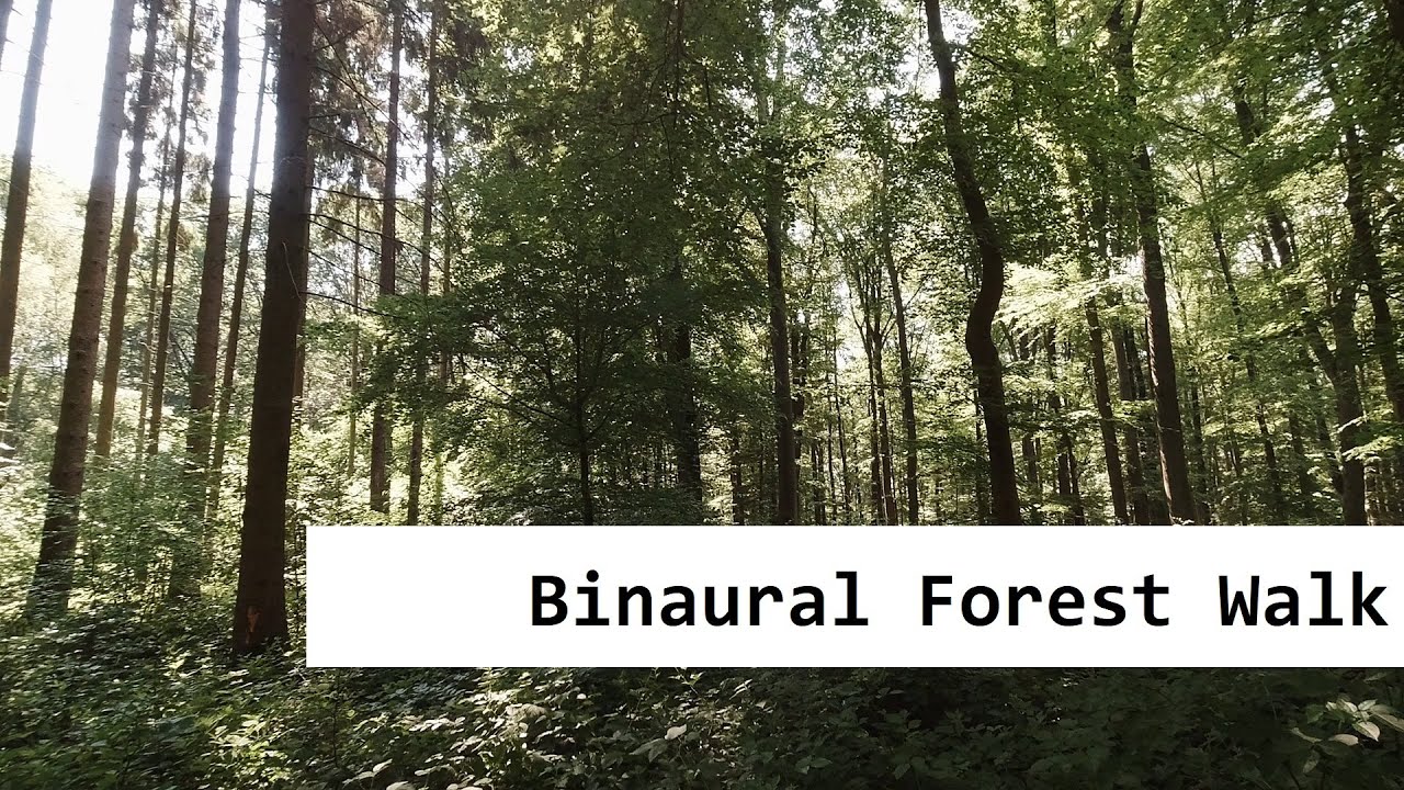 Binaural forest walk with the Soundman OKM II (best heard with headphones)