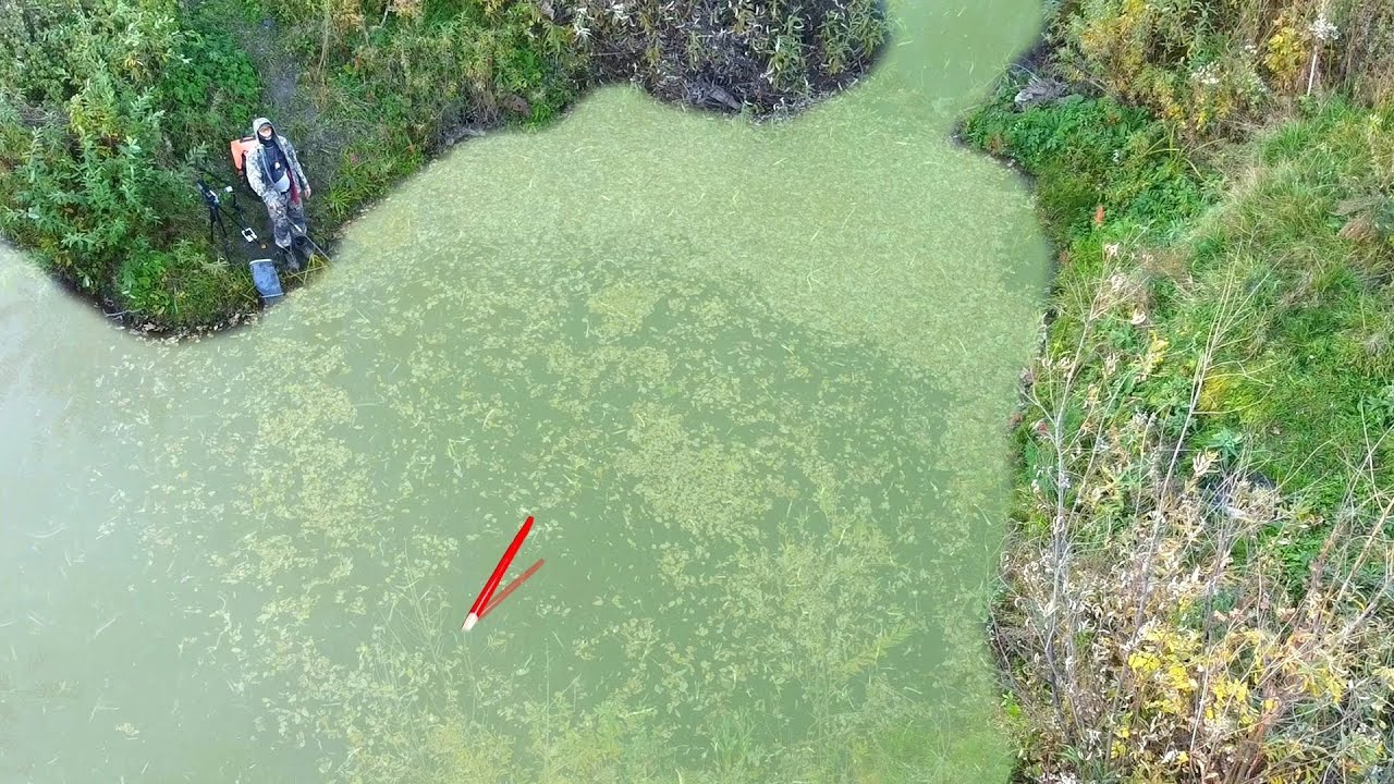 РУЧЕЙНАЯ ЛУЖА РАЗДАЁТ КРУПНЯК на ПОПЛАВОК! Жор в запруде на удочку. Рыбалка на карася 2025