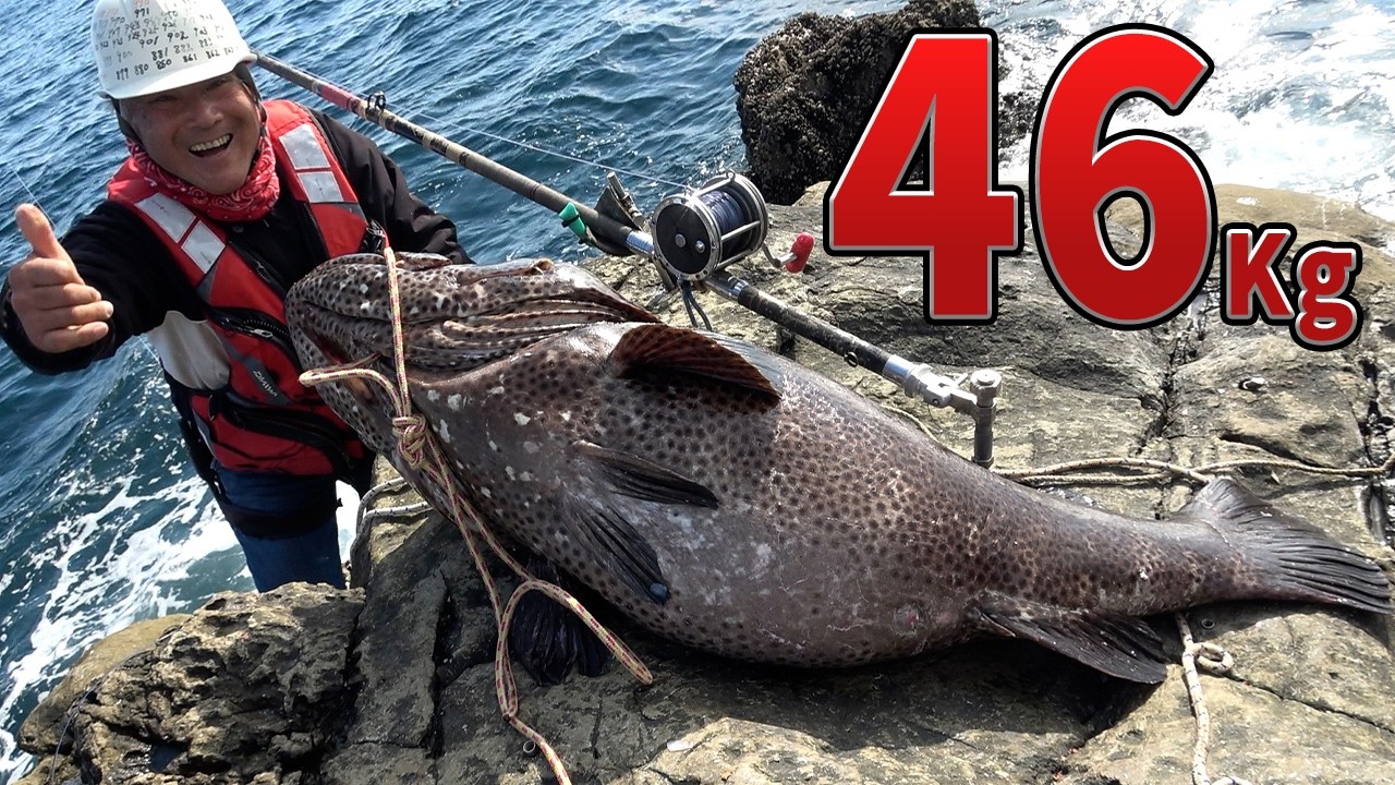クエ【アラ】 宮崎県幸島　七つ二番 46Kgとの激闘　46kg Monster Grouper ATTACKS! Absolute Chaos in Japan