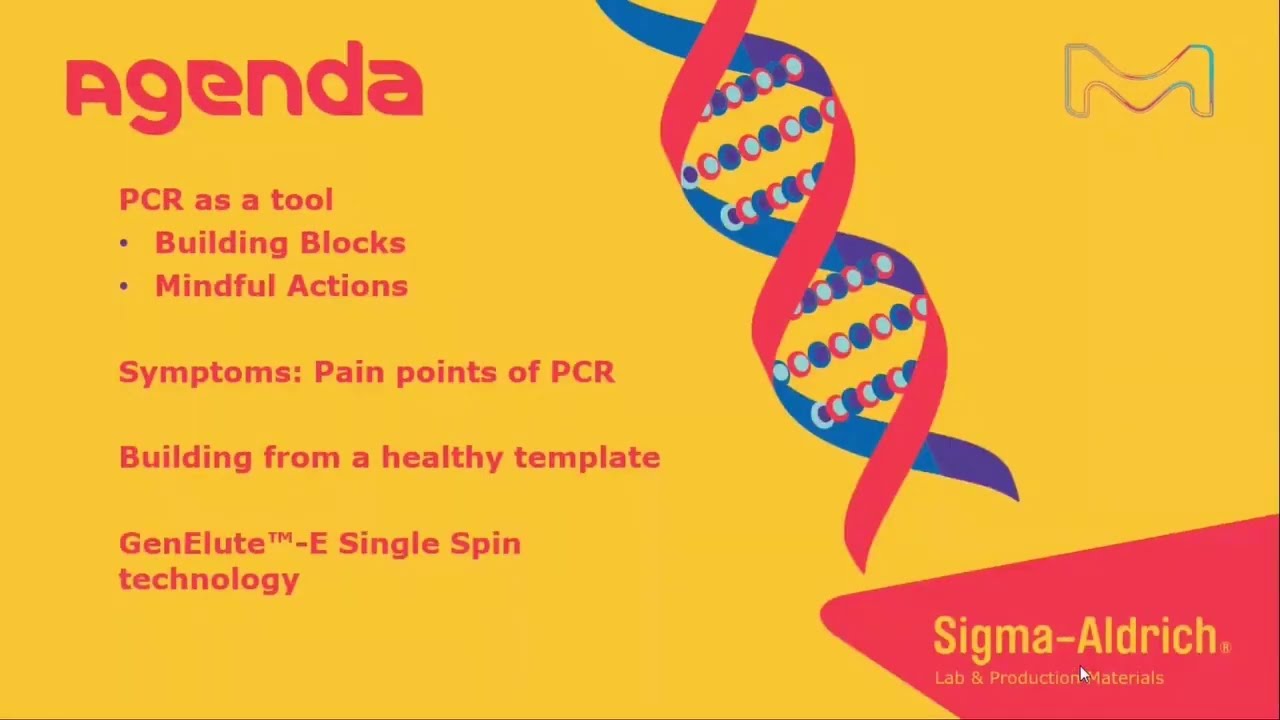 PCR Optimization with GenElute&trade;-E DNA and RNA Purification Kits Webinar