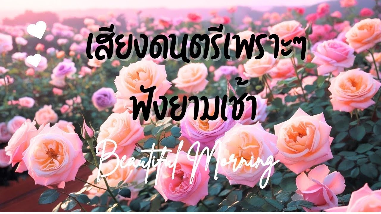 ดนตรีฟังยามเช้า อบอุ่นใจ Beautiful Morning