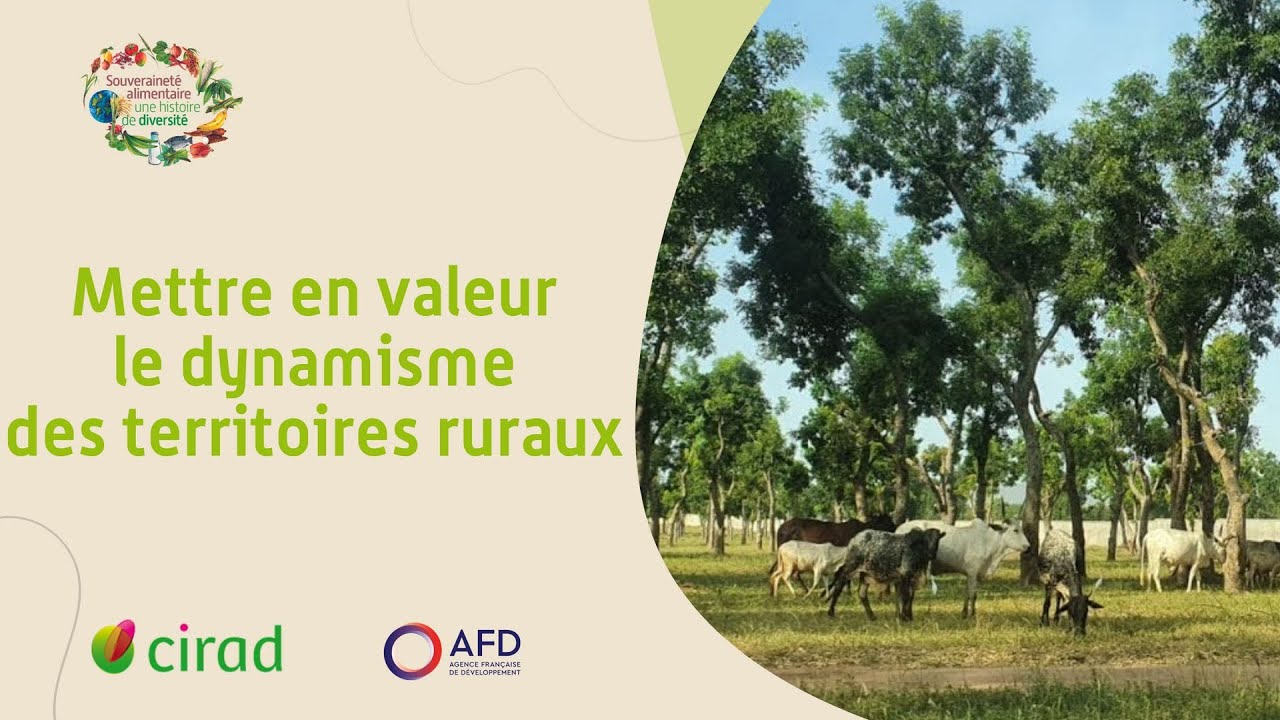 Mettre en valeur le dynamisme des territoires ruraux