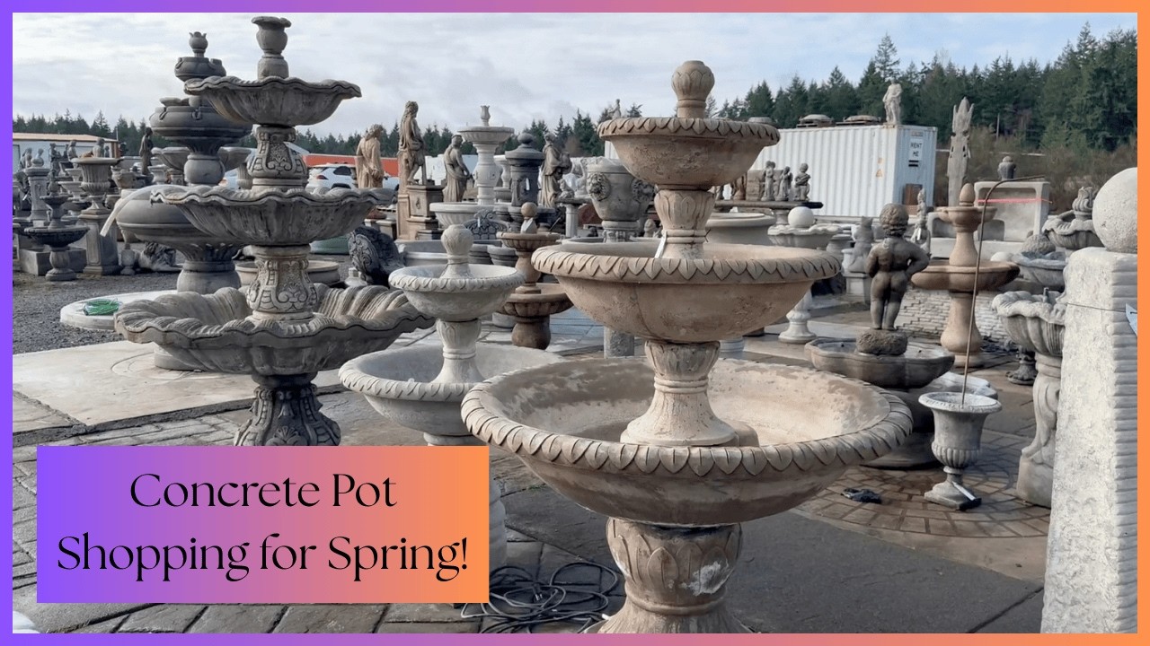 Concrete Pot Shopping + Planting Hyacinths for Spring
