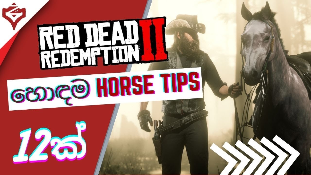 The ONLY ULTIMATE guide for Red Dead Redemption 2 in sinhala | HORSE Tips (PART 3/4) | Ziscuit