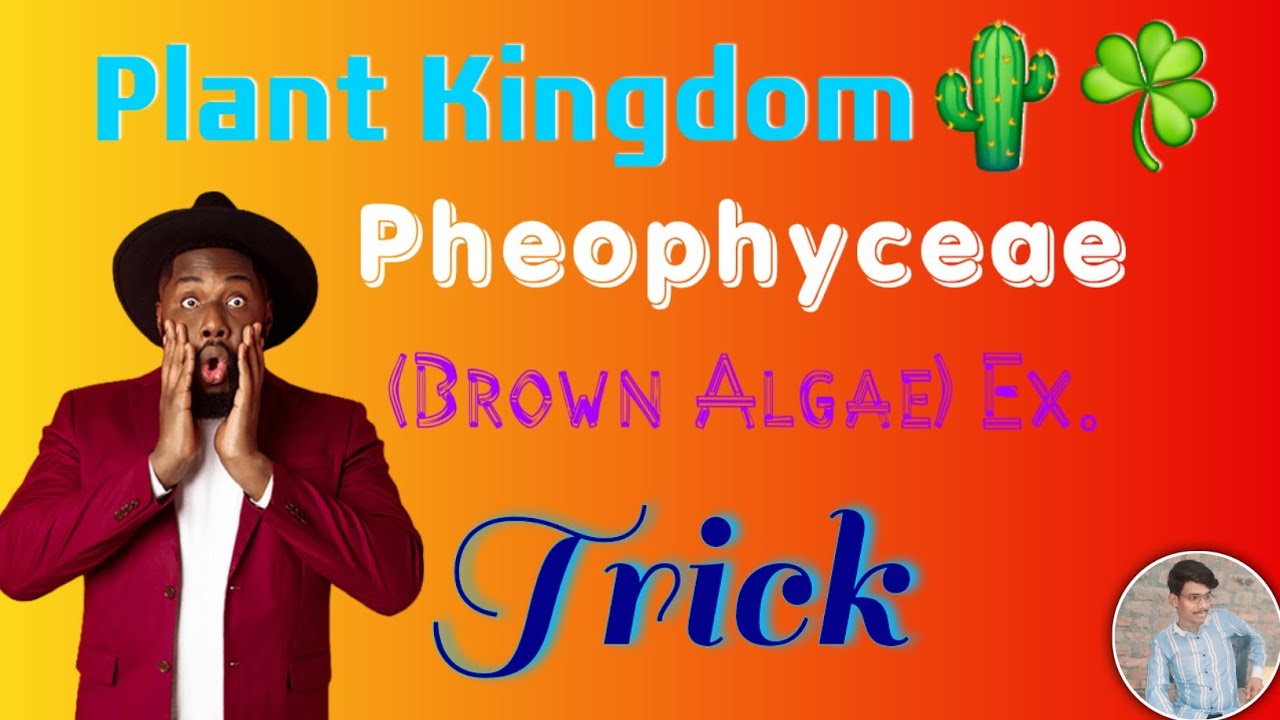 Plant KingdomNEET#Marathi Trick to learn Pheophyceae Example #neet#biology #neet#neettricks