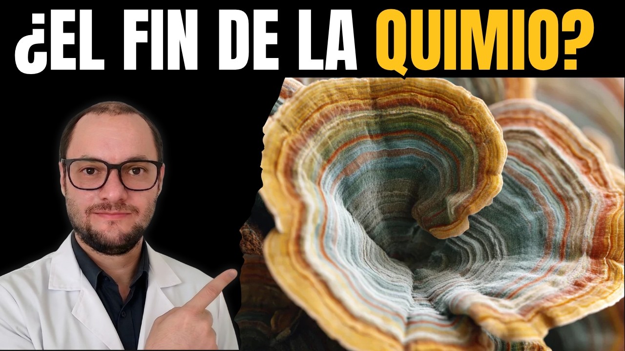 Por Qué Este Hongo Crece En Troncos Pero Combate El Cáncer
