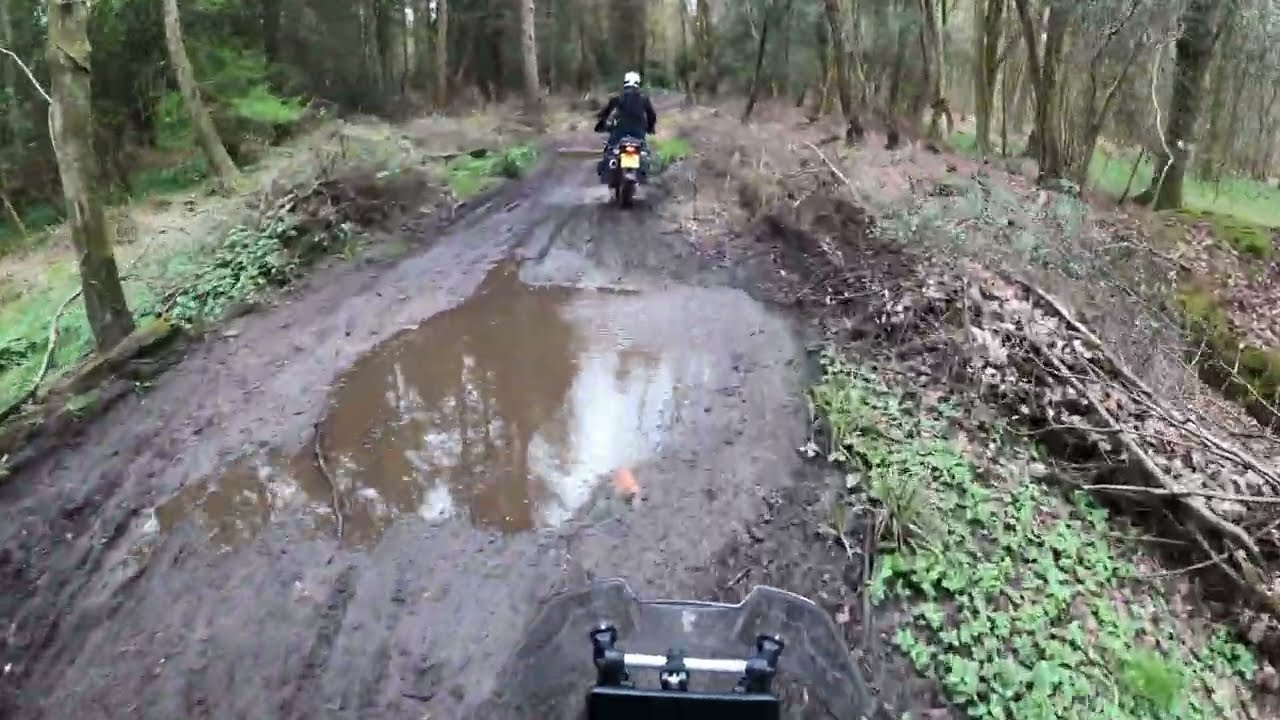 Aprilia Tuareg 660 & GS1150 | Green lanes Surrey Hills