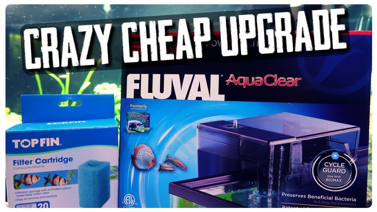 TURBO CHARGE YOUR AQUARIUM FILTER FOR CHEAP!!!!!