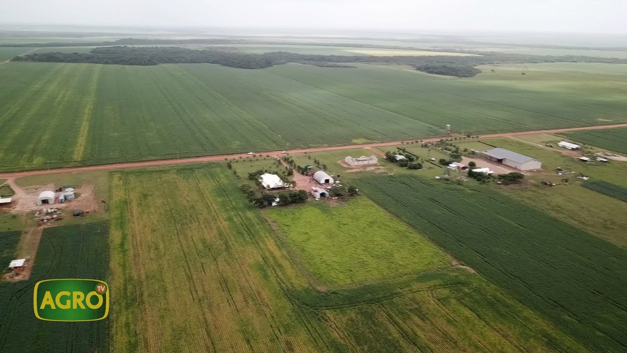 Soya Maíz Proyecto País: la oportunidad de producir y crecer tierras Colombianas (#1040 2023-07-15)