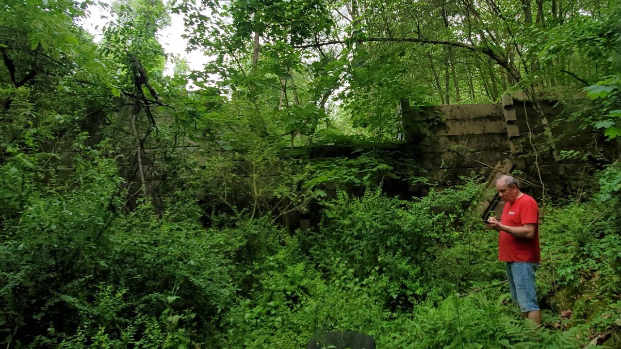 The Things You Find in the Woods