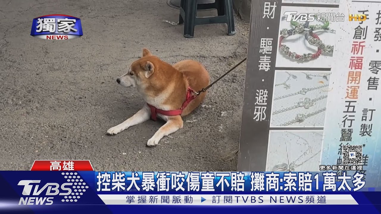 #獨家 4歲女童逛花市被柴犬咬!母控攤商態度差 飼主：索賠1萬太多｜TVBS新聞 @TVBSNEWS01