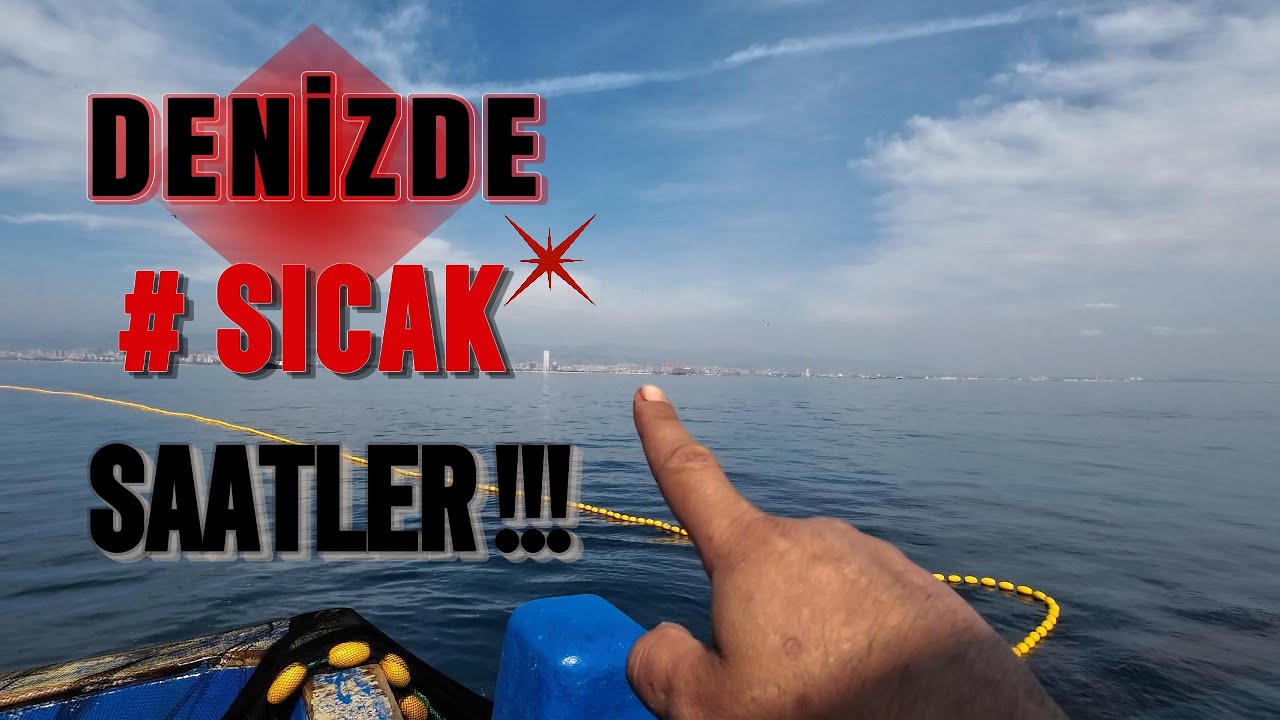 500 KASA  Sardalya Büyük Av!!!Büyük KAYIP!! Ağımız Paramparça!!!