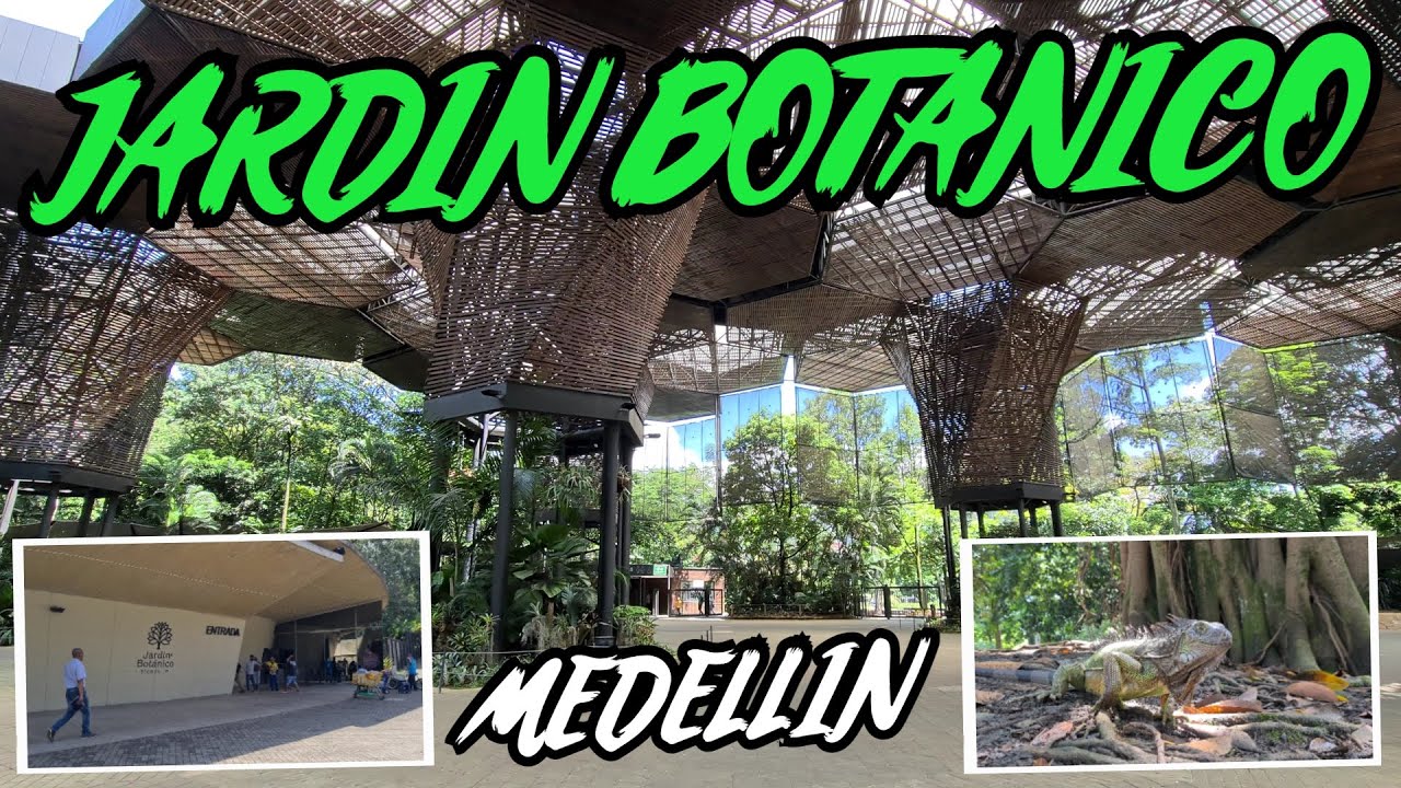 Así es el Jardín botánico de Medellín | 4K