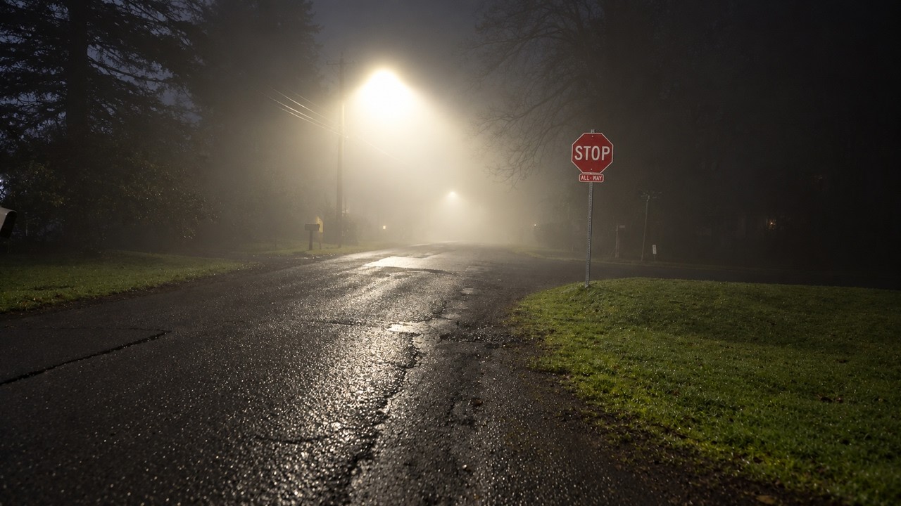 Ich spaziere nachts im Nebel und erz&auml;hle Gruselgeschichten!