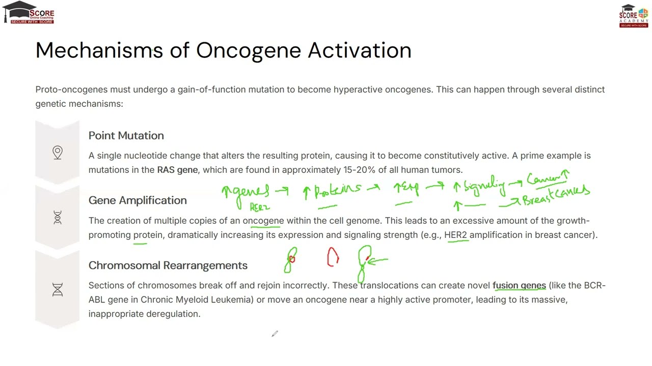 🧬 Title: Genetic Basis of Cancer Development | Genetics | BIOSCORE by SCORE Online Coaching