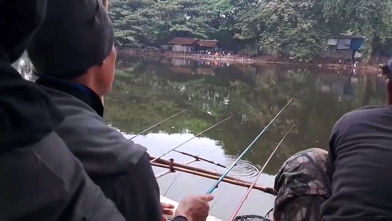 Mancing Keroyokan Di Danau Jembatan Merah Pluit village Mall Jakarta Utara