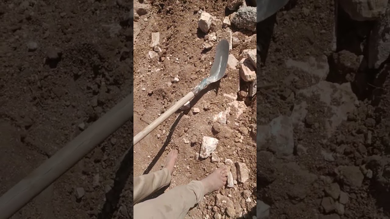 ٢٢ نوفمبر ٢٠٢٥