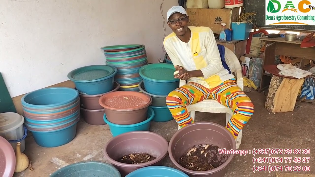 IL PERD PLUS 1 MILLION DANS L'ÉLEVAGE DES FOSS/TSOMBI/HANNETONS à CAUSE de CECI.. 