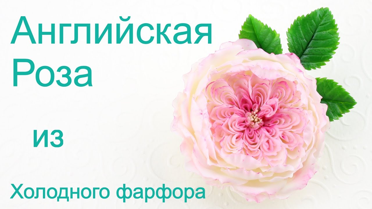 Английская роза заколка из холодного фарфора урок