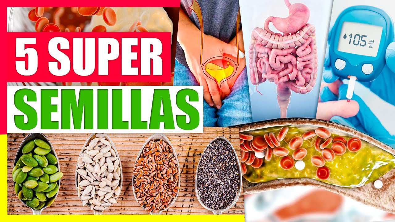 5 Super Semillas Que Puedes Consumir A Diario - Beneficios De La Linaza, Chia, S&eacute;samo, Girasol