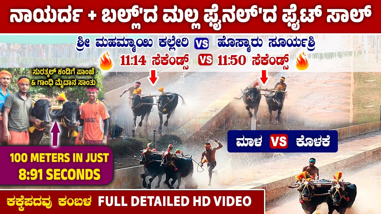 ನಾಯರ್ದ + ಬಲ್ಲ್'ದ ಮಲ್ಲ ಫೈನಲ್'ದ ಫೈಟ್ ಸಾಲ್ | ಮಾಲ VS ಕೊಳಕೆ | ಶ್ರೀ ಮಹಮ್ಮಾಯಿ ಕಲ್ಲೇರಿ VS ಹೊಸ್ಮಾರು ಸೂರ್ಯಶ್ರಿ