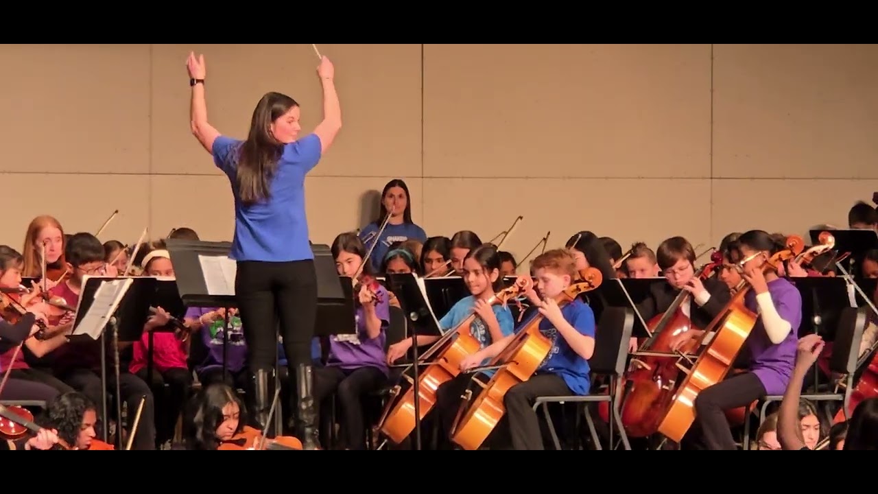 Ode to joy (string festival)
