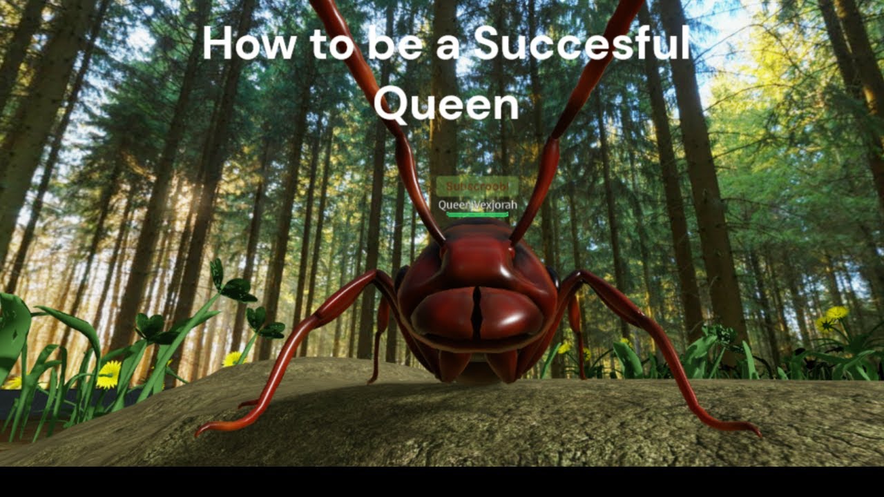 How to be a Good queen in Ant Life