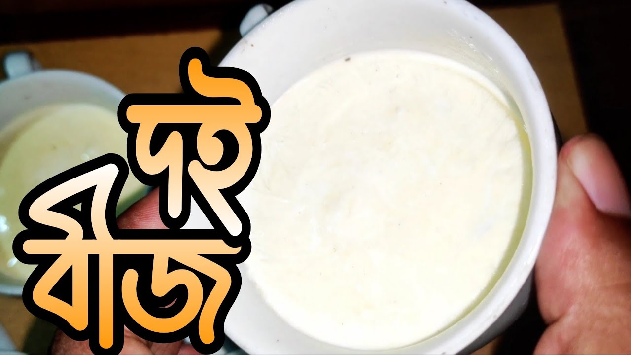 দই জমানোর দই বীজ বানিয়ে ফেলুন নিজেই | দই বীজ বানানোর শহজ রেসিপি | Curd