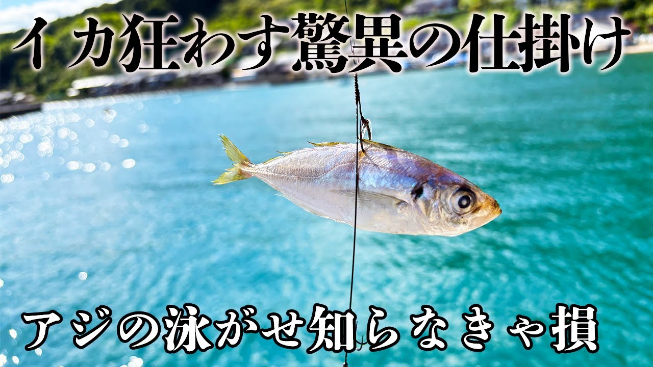 エギング辞めてアジの泳がせウキ釣りでアオリイカを狙ったら・・・