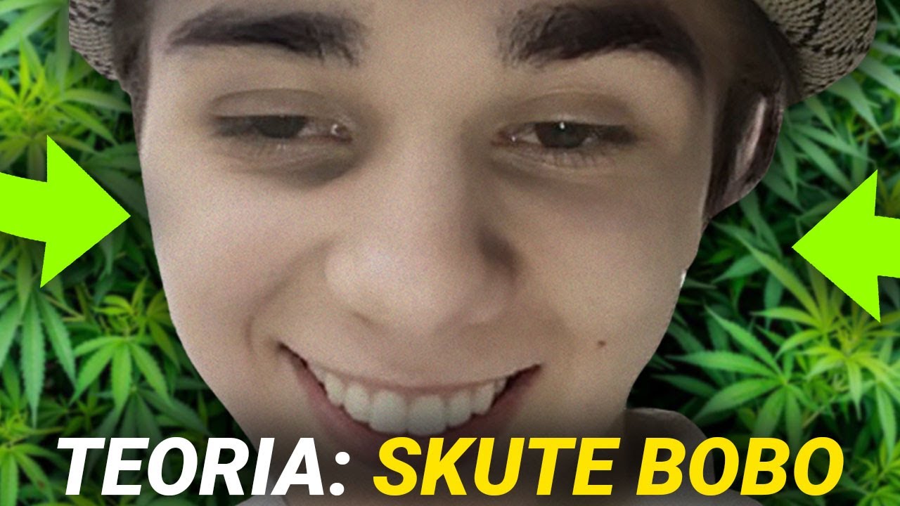 teoria: O CO CHODZI ZE SKUTE BOBO? (Hotel Mafija 2)
