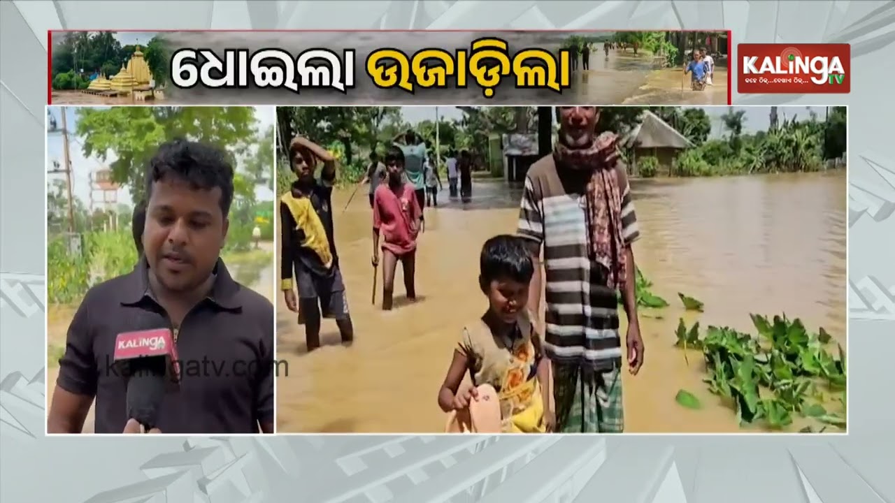 Baitarani River Floods Affect 50 Villages Across Seven Panchayats in Hatadihi || Kalinga TV
