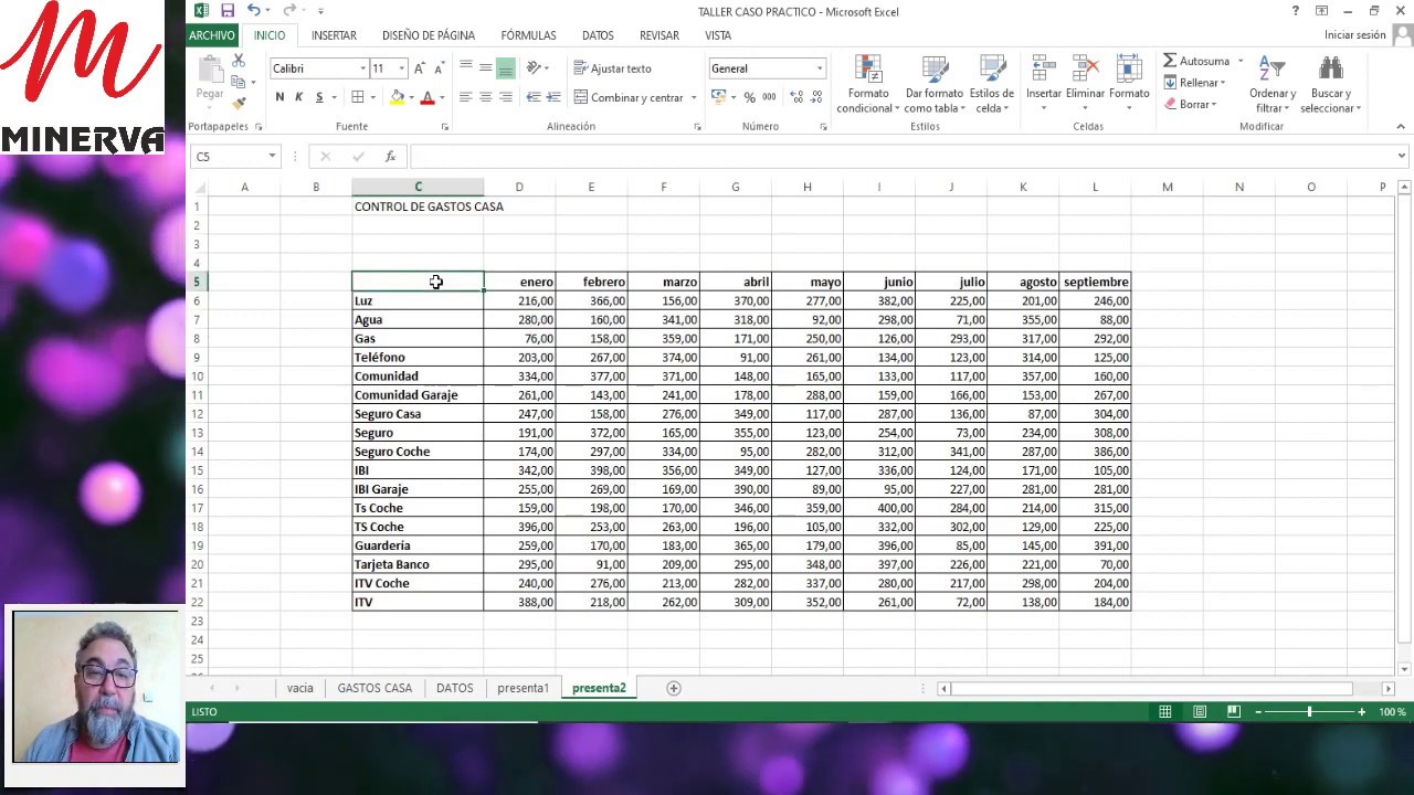 EXCEL control de gastos (caso pr&aacute;ctico)