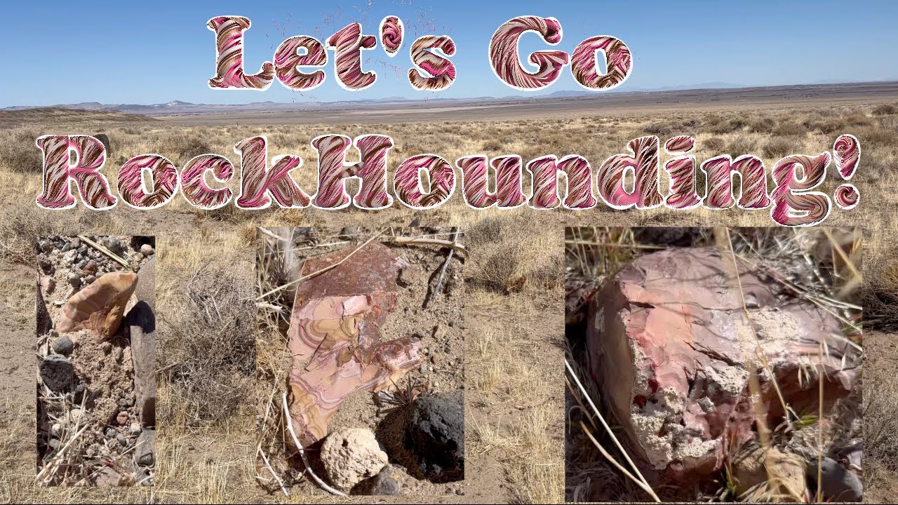 Rockhounding in Northern Nevada! Finding Gorgeous Wonderstone, Jaspers, Purple Breccia, and More!