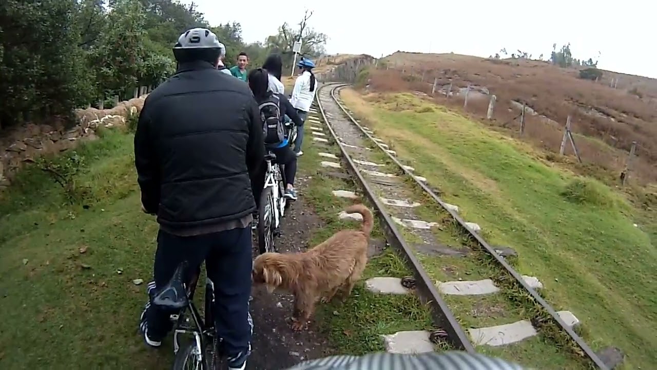 Paseo en bicicleta con los del trabajo 2