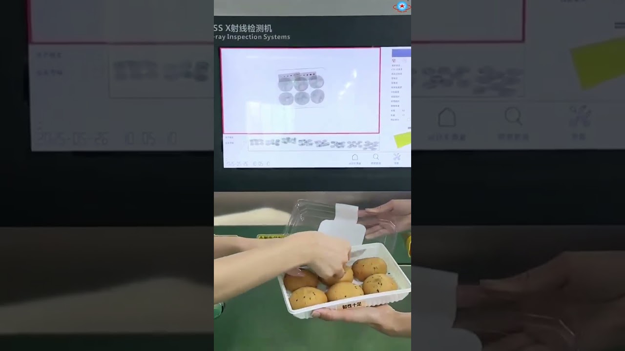 High Accuracy X-RAY Food Inspection Machine X-ray Food Foreign Object Metal Glass Stone Detector