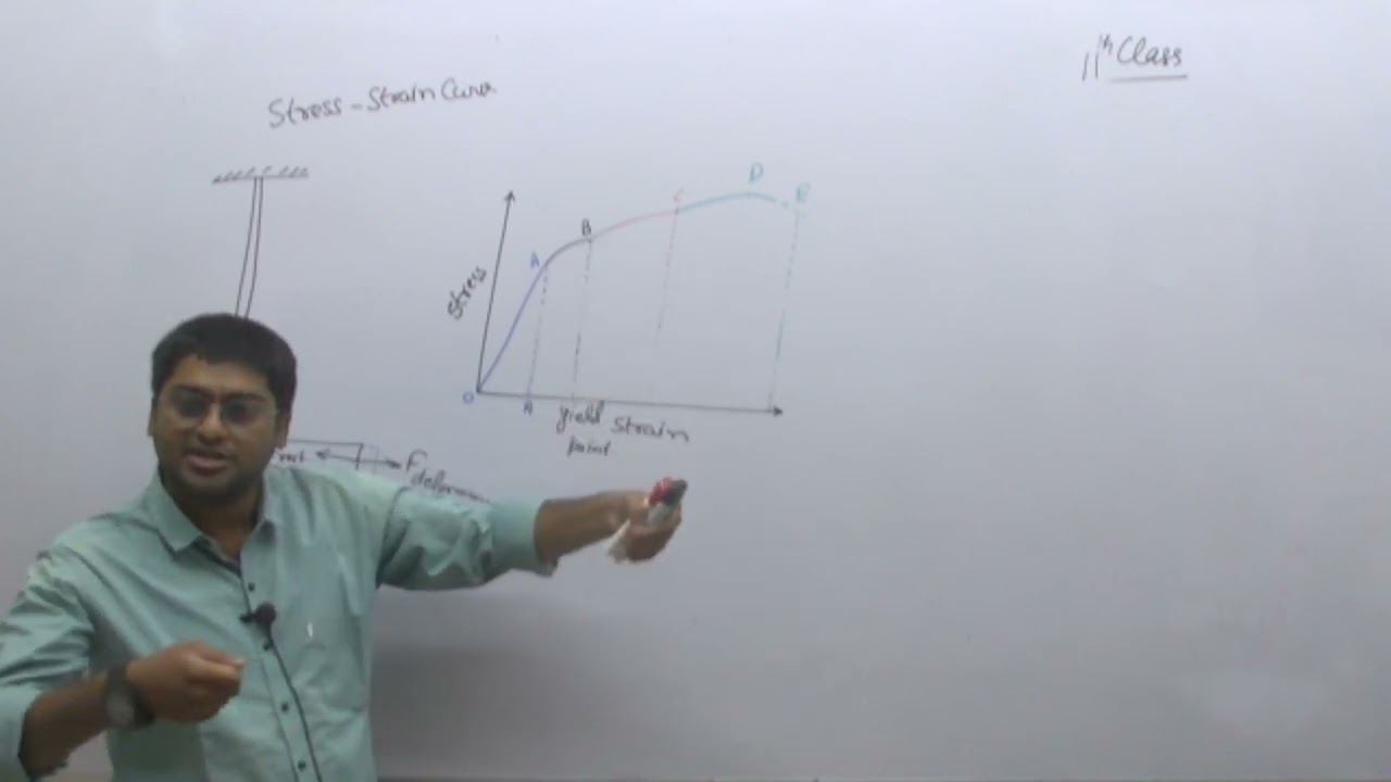ELASTICITY L1