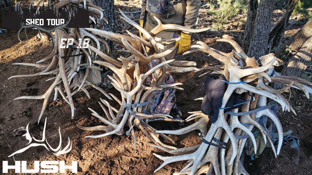 SHED TOUR | 3 PACK FULLS OF SHEDS | 32E18