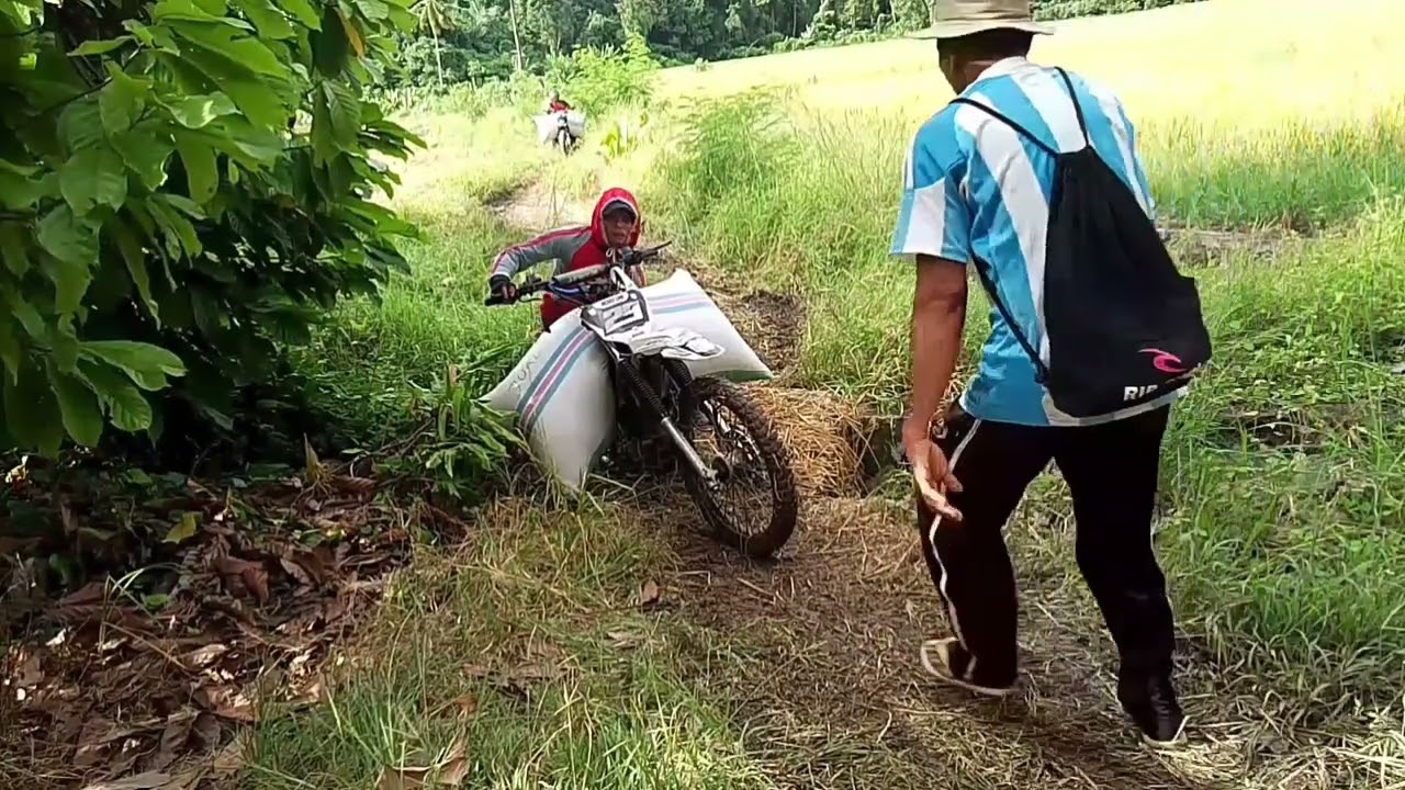 licing motor taksi gabah atau padi terpeleset langsung masuk di saluran irigasi