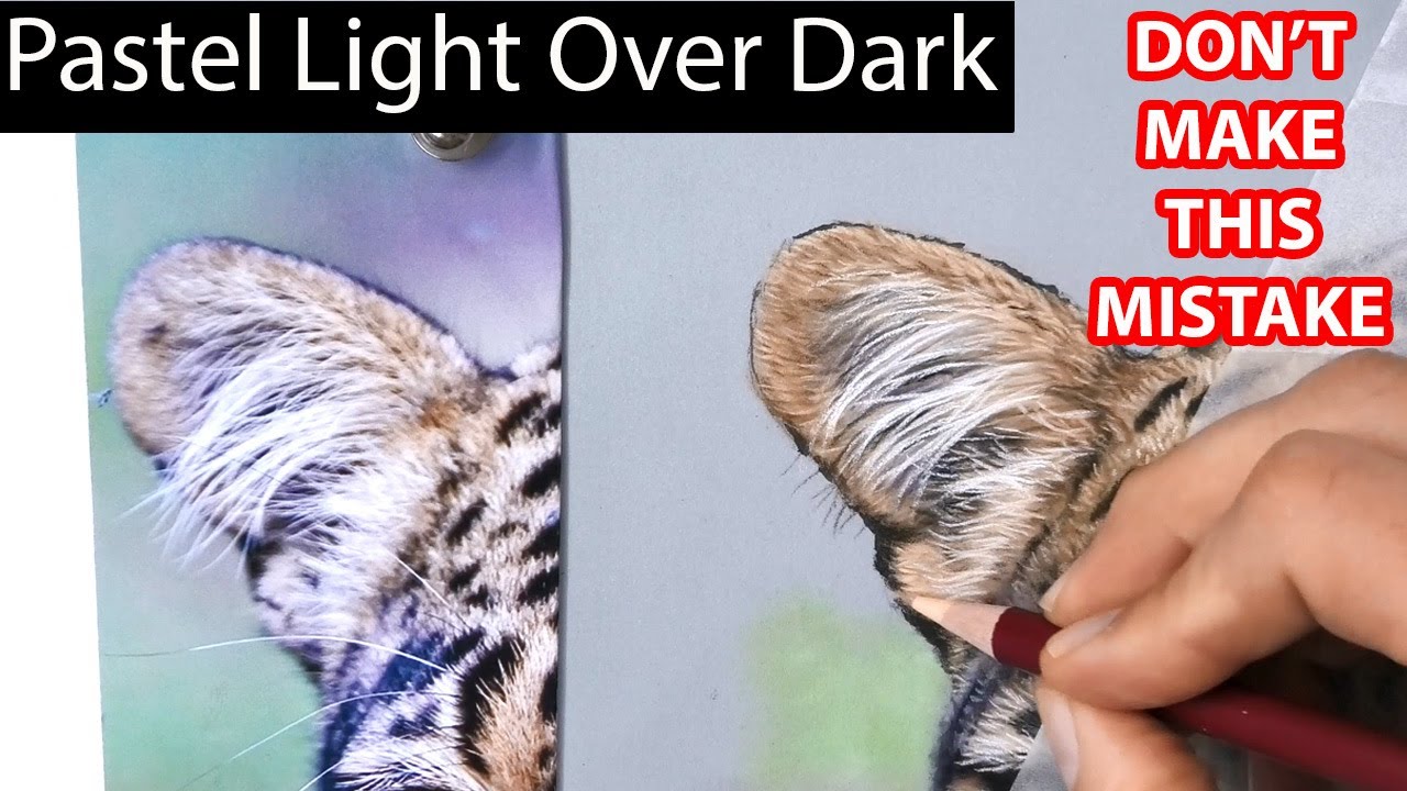 How To Draw Hair With Pastel: Essential Light Over Dark Tips | Jason Morgan Wildlife Art